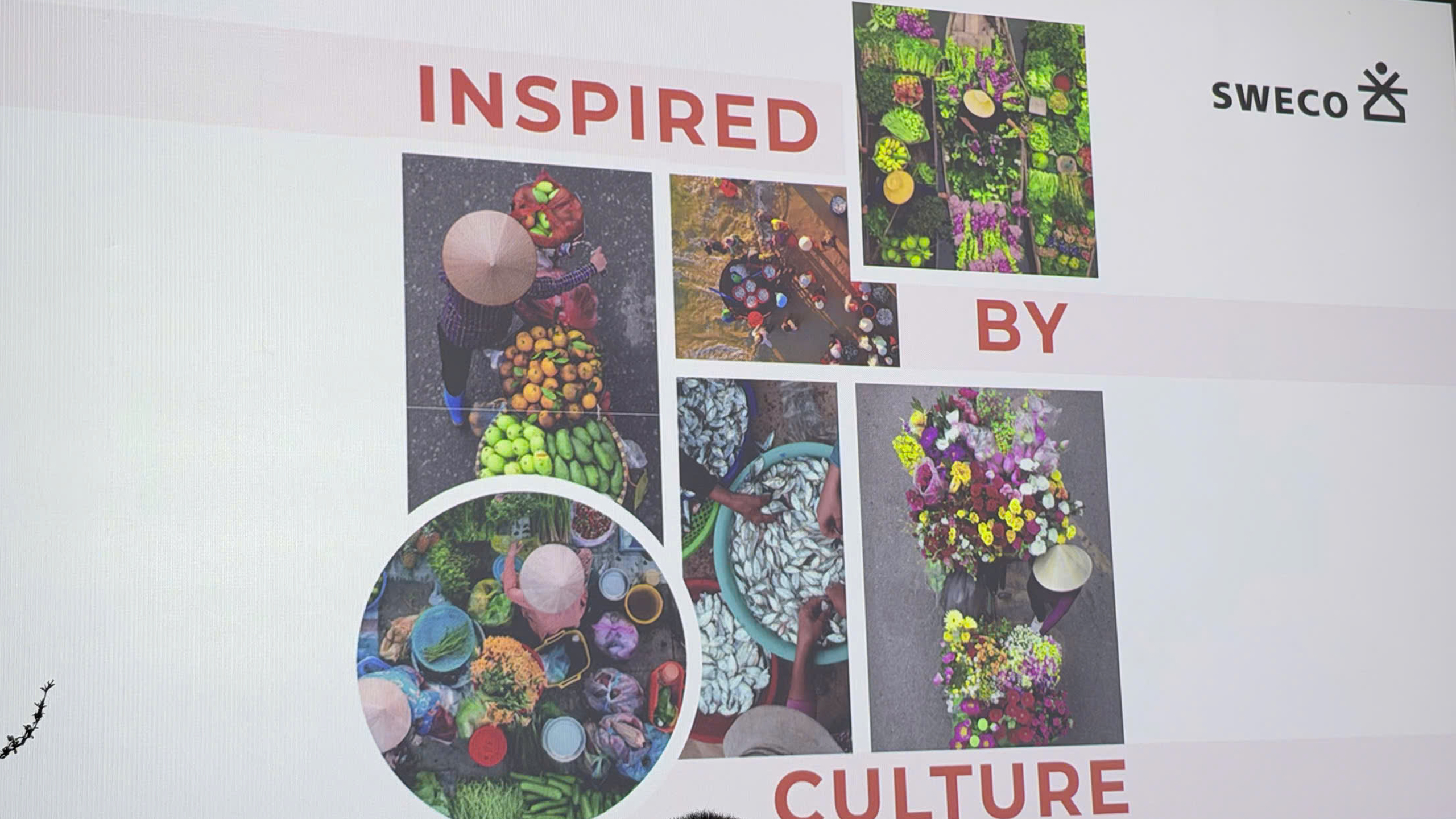 coastal quang ngai 2