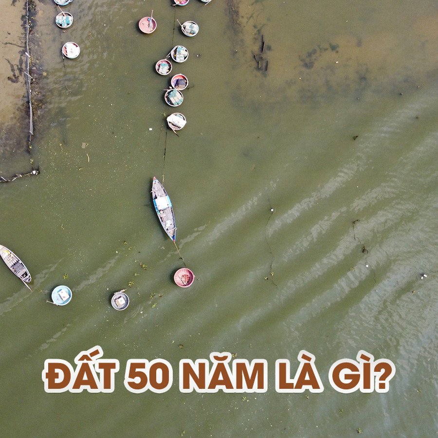 DAT-50-NAM-LA-GI