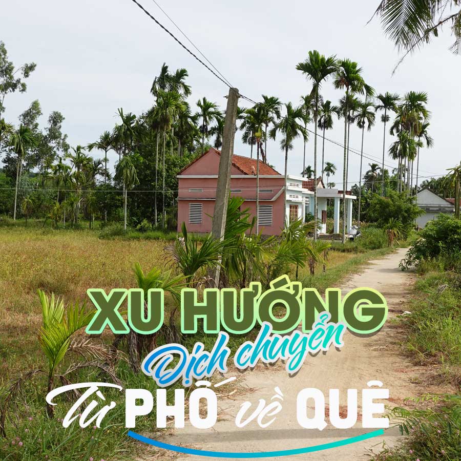 xu-huong-dich-chuyen-tu-pho-ve-que