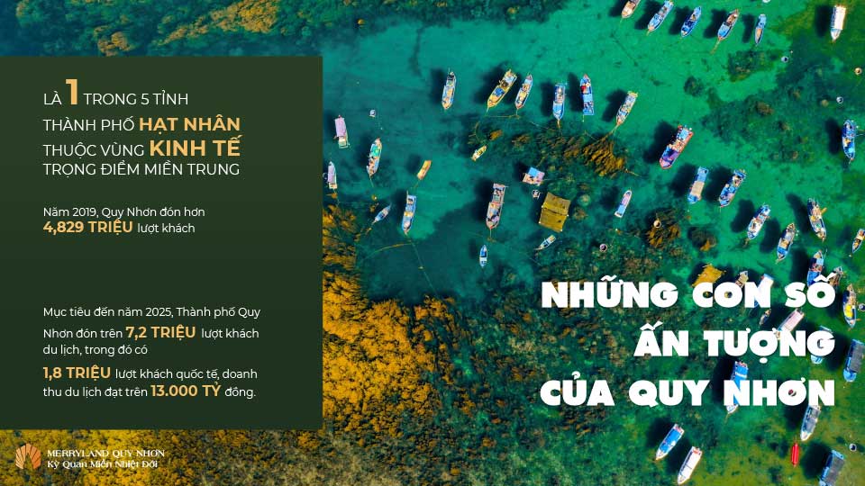 nhung-con-so-an-tuong-cua-quy-nhon
