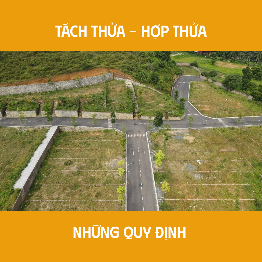 TACH-THUA